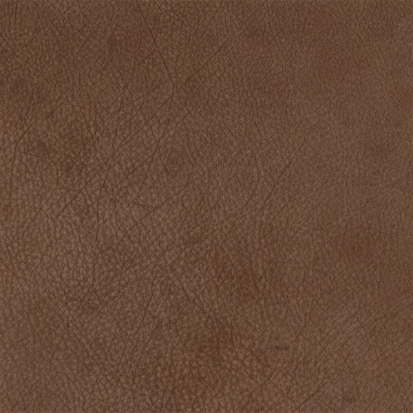 chestnut brown