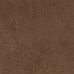 chestnut brown