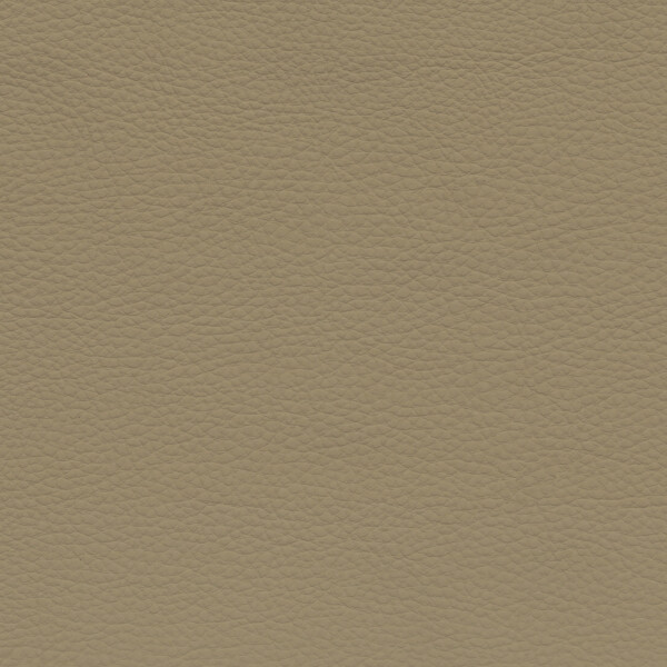 savannabeige