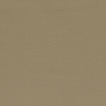 savannabeige