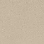 creambeige