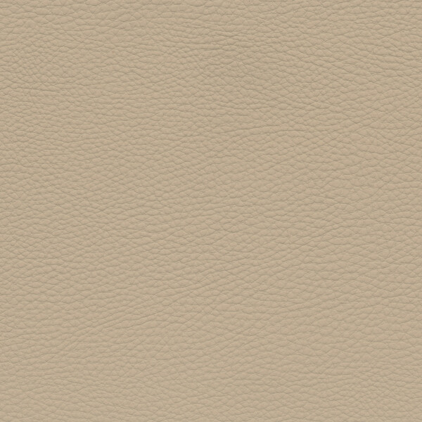canberrabeige