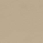 canberrabeige