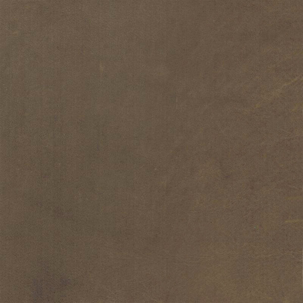 brown olive