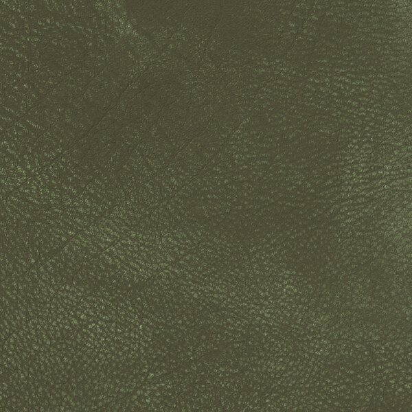 moss
