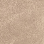 gray beige