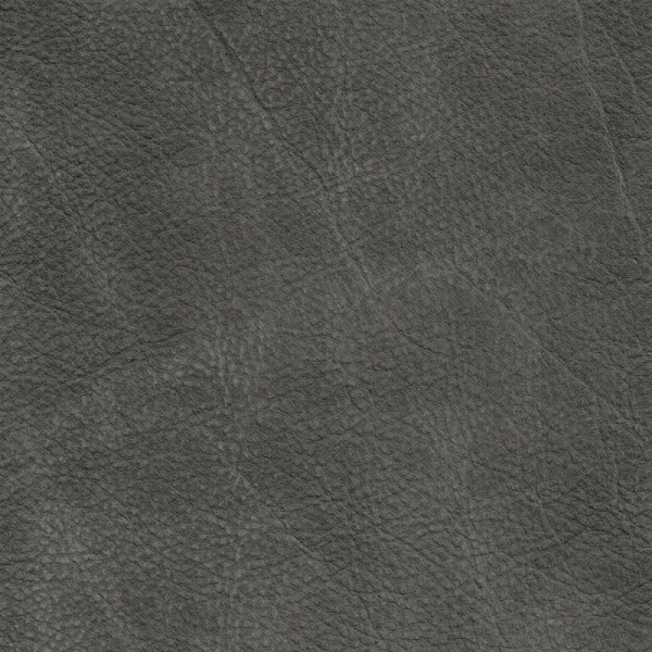 dim gray