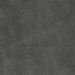 dim gray