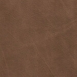earth brown