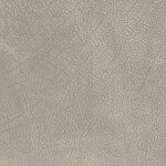 french gray