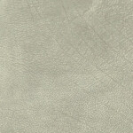 silver gray