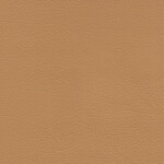 brown cream