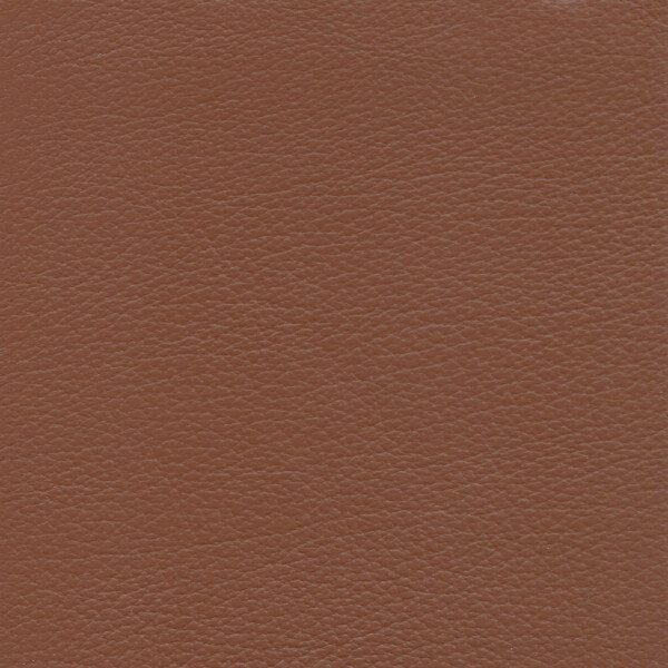 chestnut