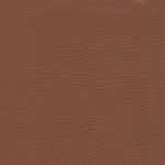 chestnut