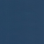 marine blue