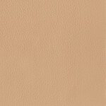 sandy beige