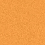 bright orange
