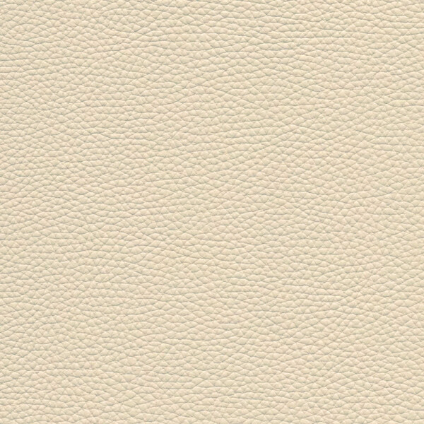 white egg