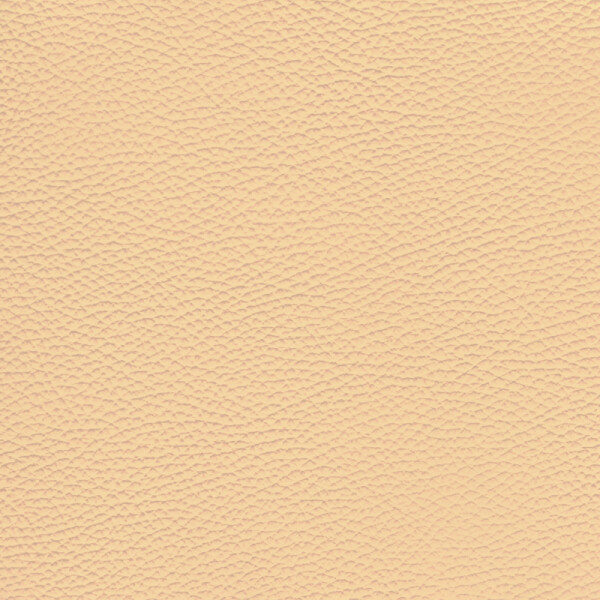dark ivory