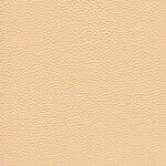 dark ivory