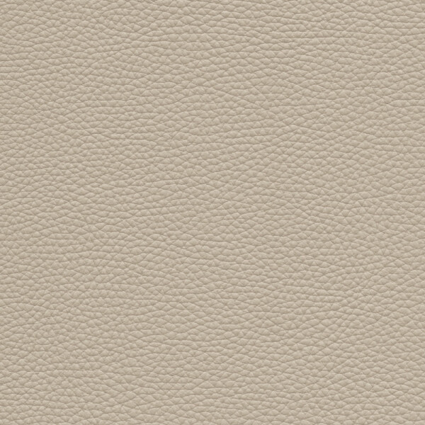stone gray