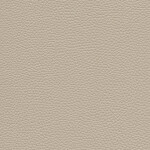 stone gray