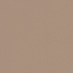 medium beige