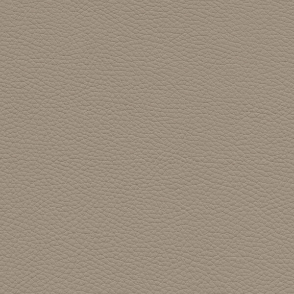 gray beige