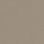 gray beige
