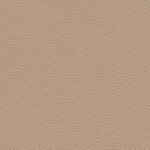 brown beige