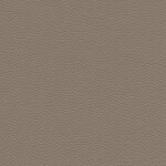 dark beige