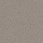 concrete gray