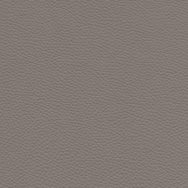 moss gray