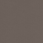brown gray