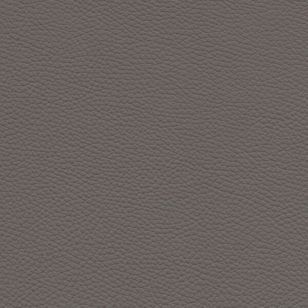 earthbrown 2