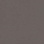 earthbrown 2
