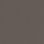 earth brown