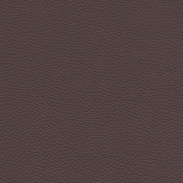 cacao brown