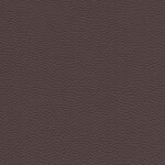 cacao brown