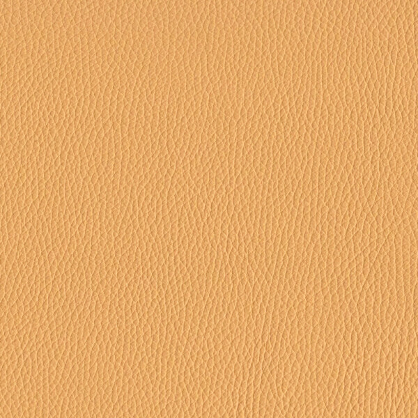 raw sienna light