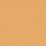 raw sienna light