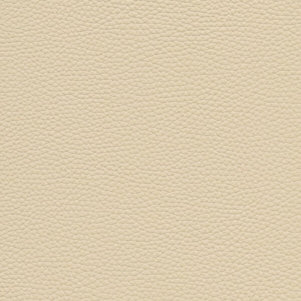 cream white