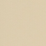 cream white