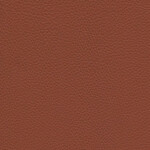 brown ochre deep