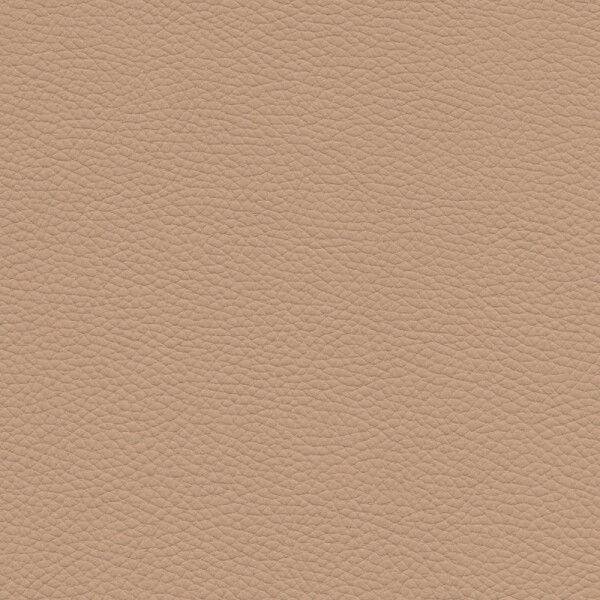 steppe