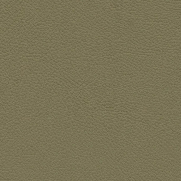 olive green dark