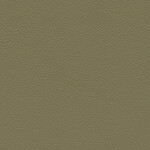 olive green dark