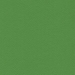 green earth