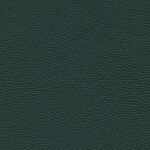 green amber 1