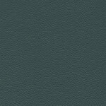 anthracite green